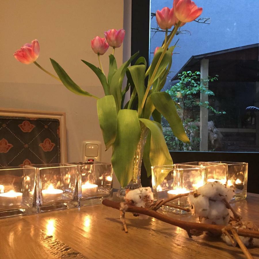 Artagnan Bed & Breakfast Maastricht Ngoại thất bức ảnh